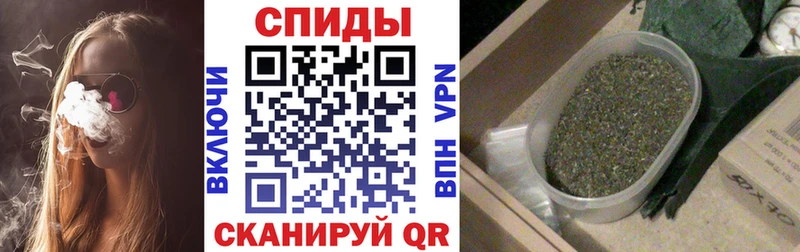 где найти   Выборг  Бутират BDO 33% 