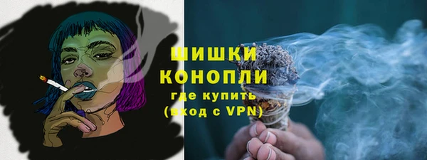 молекула духа Богородицк