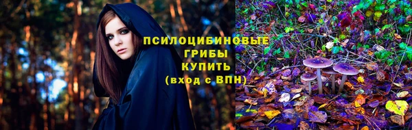 марки lsd Богданович