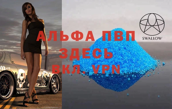 молекула духа Богородицк