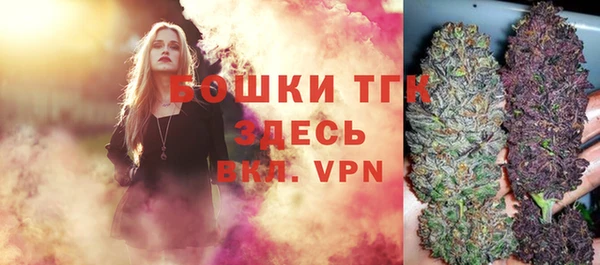 молекула духа Богородицк