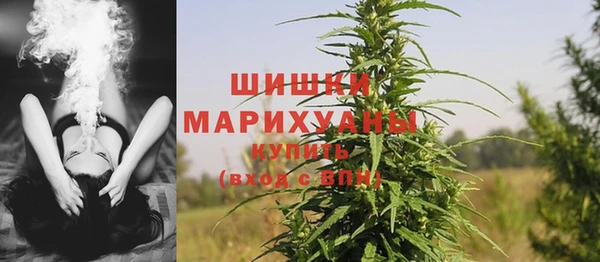 молекула духа Богородицк
