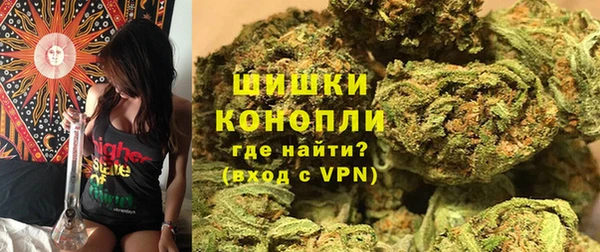 молекула духа Богородицк
